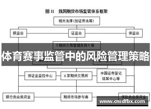 体育赛事监管中的风险管理策略